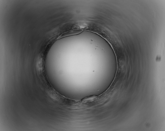 X0000103301442200808291354
