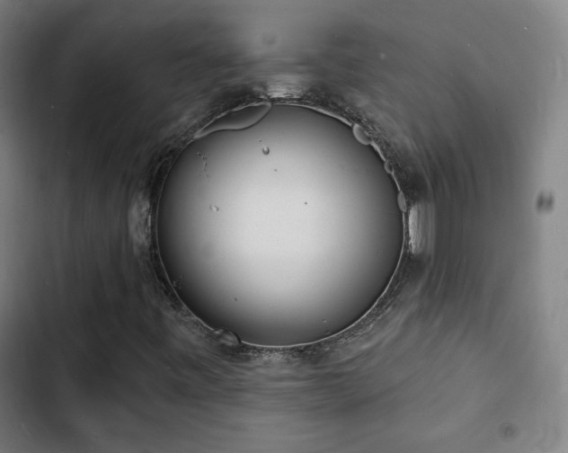 X0000103301443200808291354