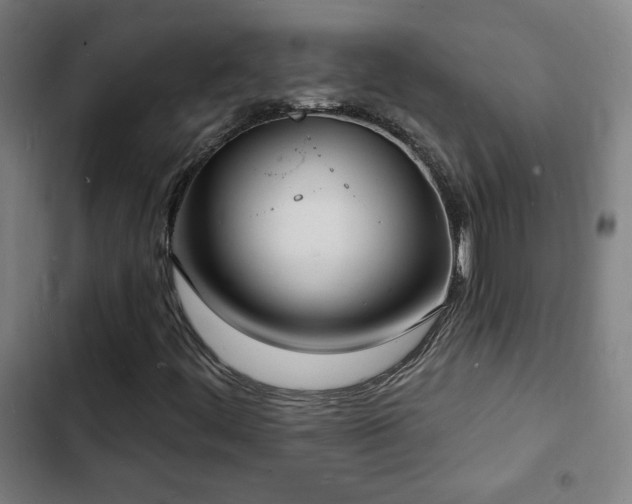X0000103301444200808291354