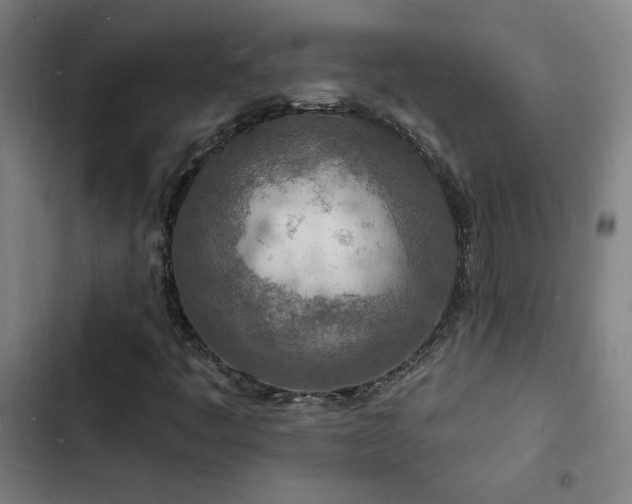X0000103301445200808291354