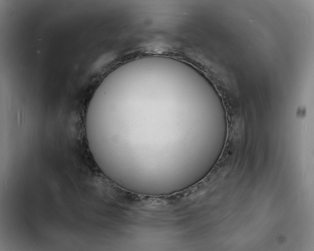 X0000103301446200808291354
