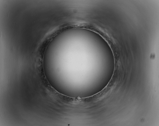 X0000103301447200808291354
