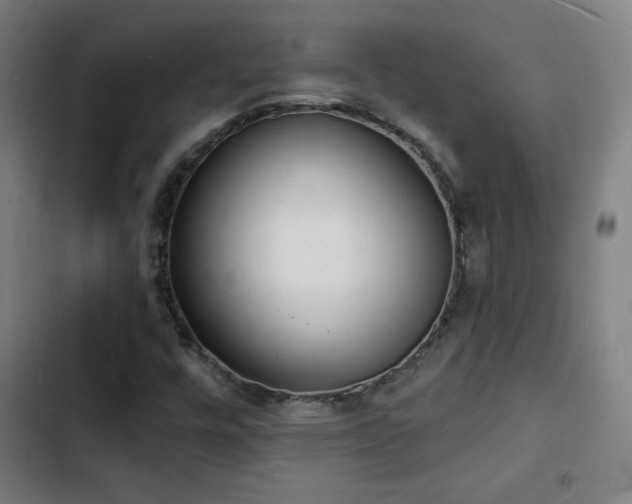 X0000103301448200808291354