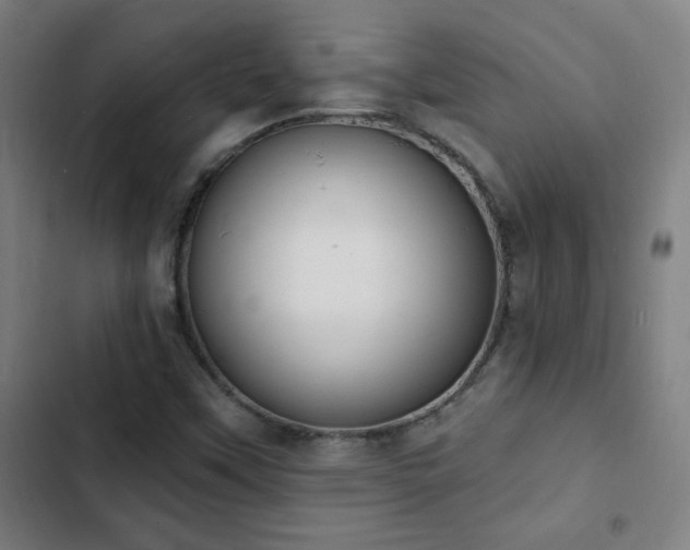 X0000103301451200808291354