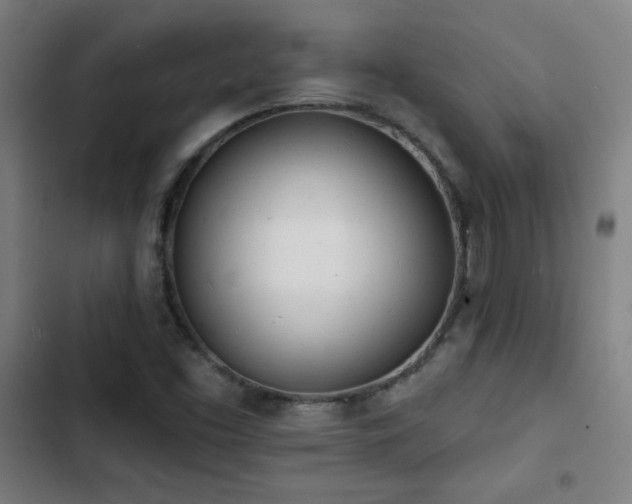 X0000103301453200808291354