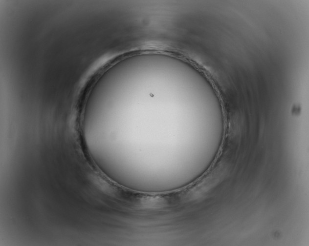 X0000103301454200808291354
