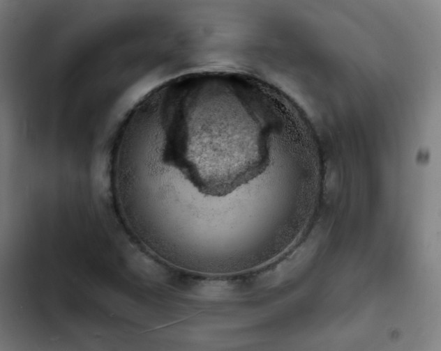 X0000103301455200808291354