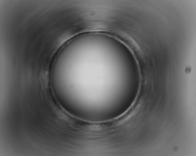 X0000103301457200808291354