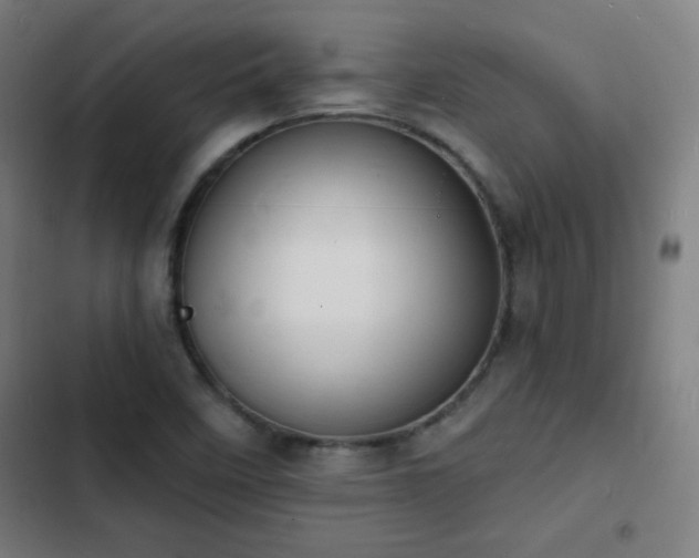 X0000103301458200808291354