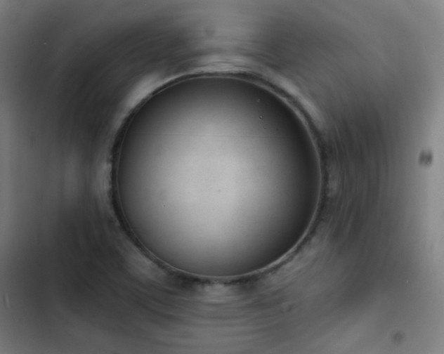 X0000103301459200808291354