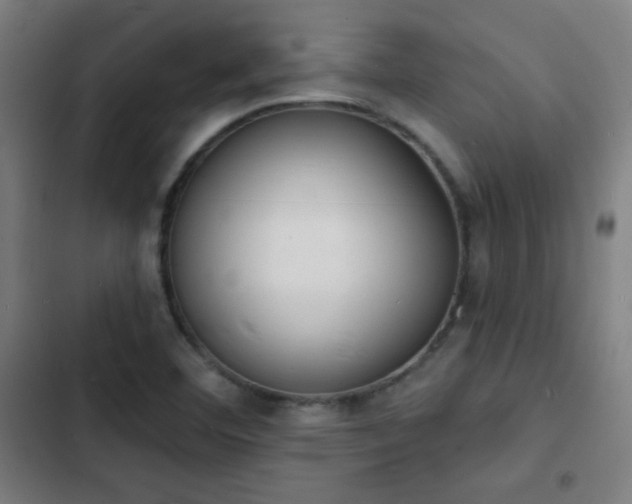 X0000103301460200808291354