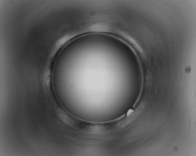 X0000103301461200808291354