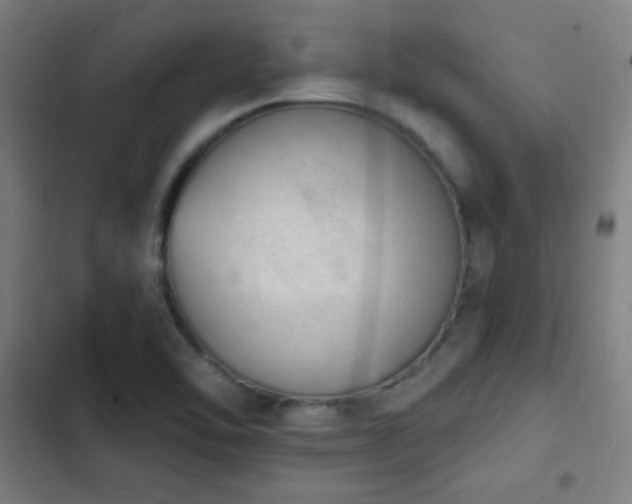 X0000103301462200808291354