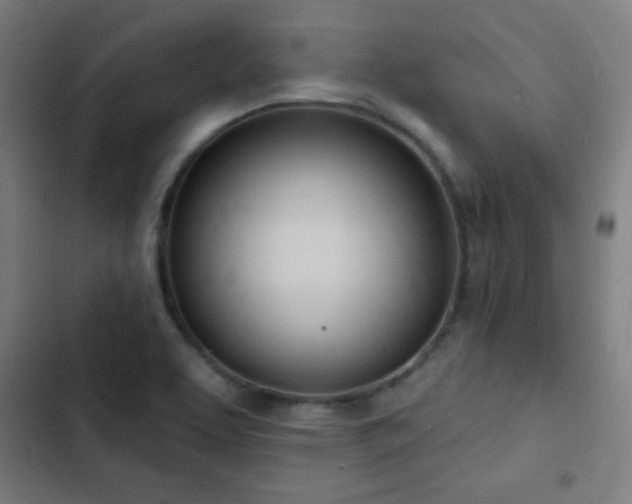 X0000103301463200808291354