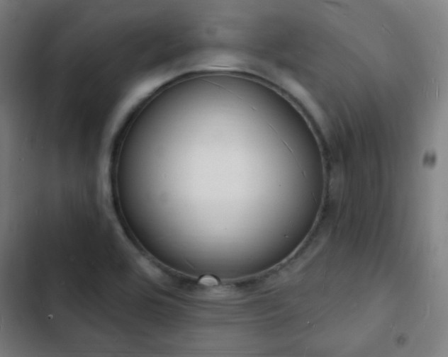 X0000103301464200808291354