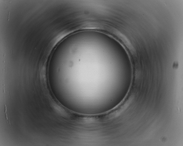 X0000103301465200808291354