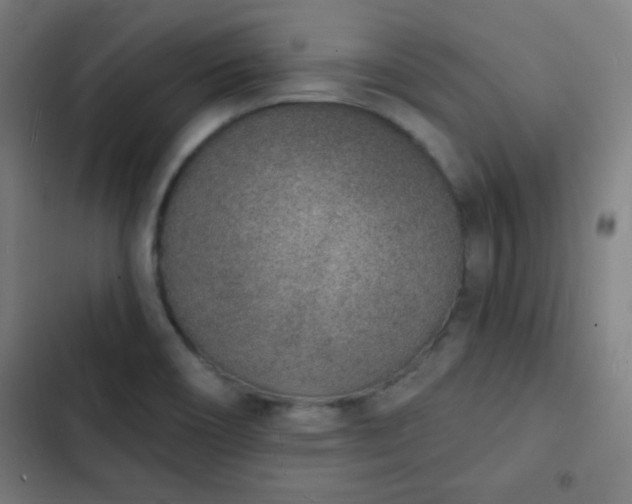 X0000103301466200808291354