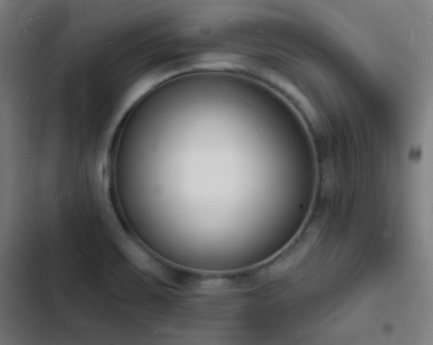 X0000103301467200808291354