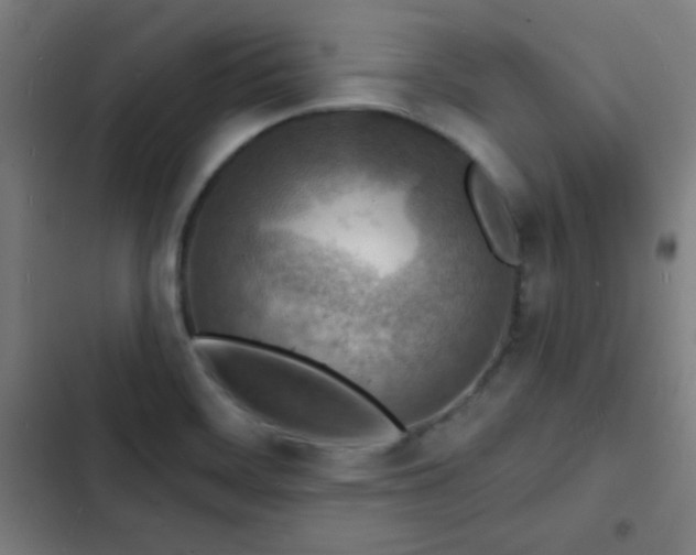 X0000103301468200808291354