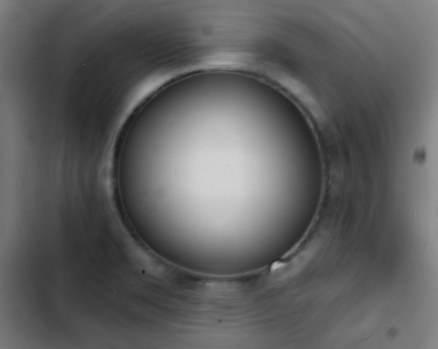 X0000103301469200808291354