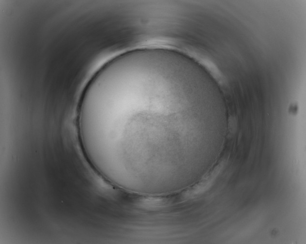 X0000103301470200808291354