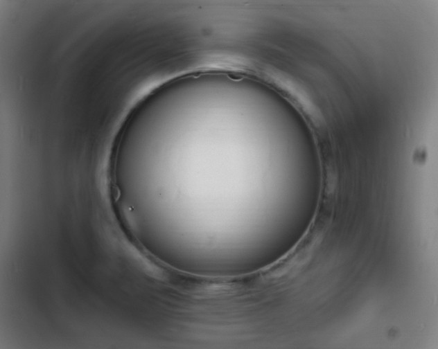 X0000103301471200808291354