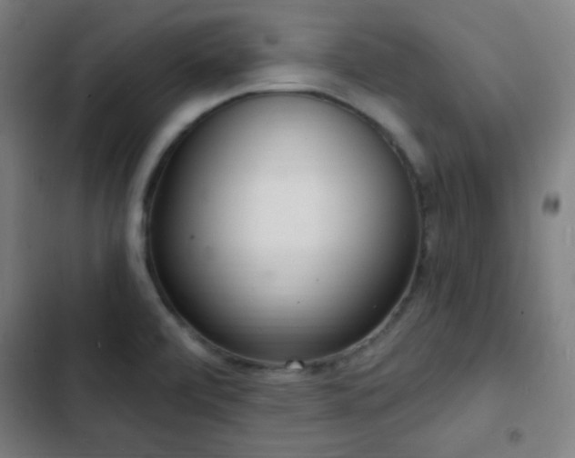 X0000103301472200808291354