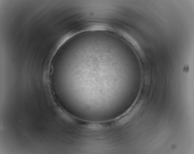 X0000103301473200808291354