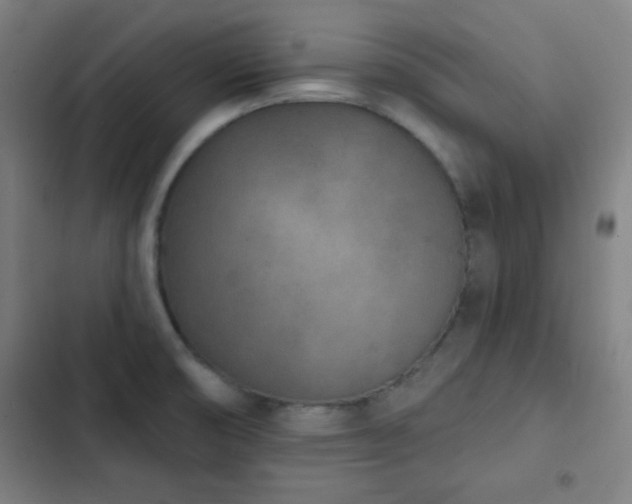 X0000103301474200808291354