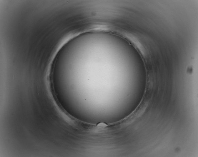 X0000103301475200808291354