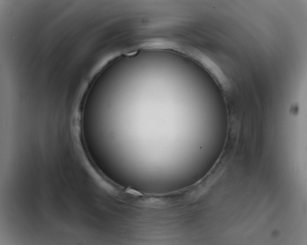 X0000103301476200808291354