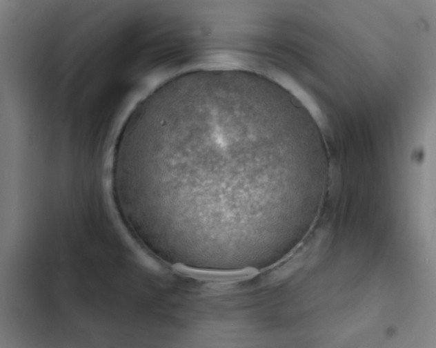 X0000103301477200808291354