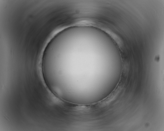 X0000103301478200808291354