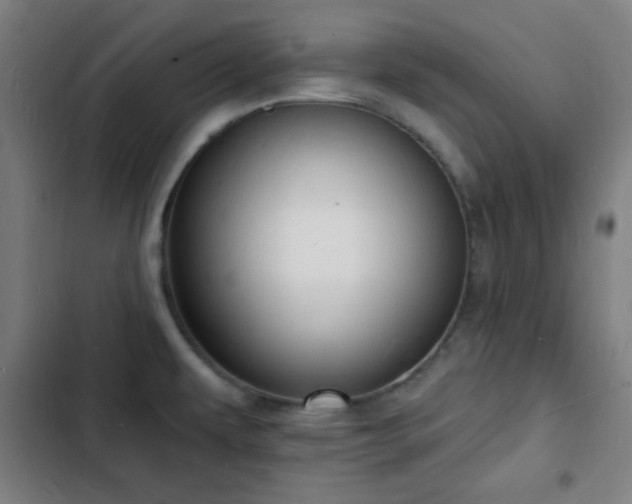 X0000103301479200808291354