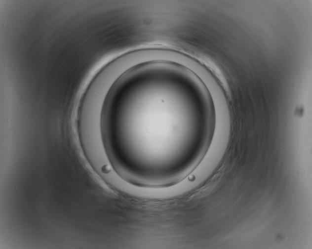 X0000103301480200808291354