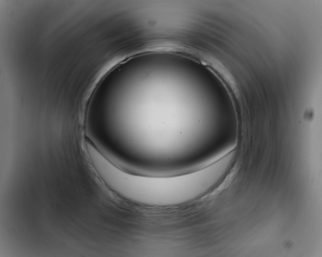 X0000103301481200808291354