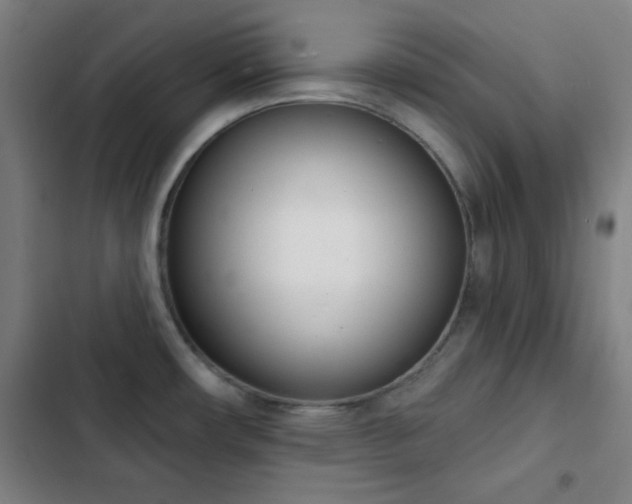 X0000103301482200808291354