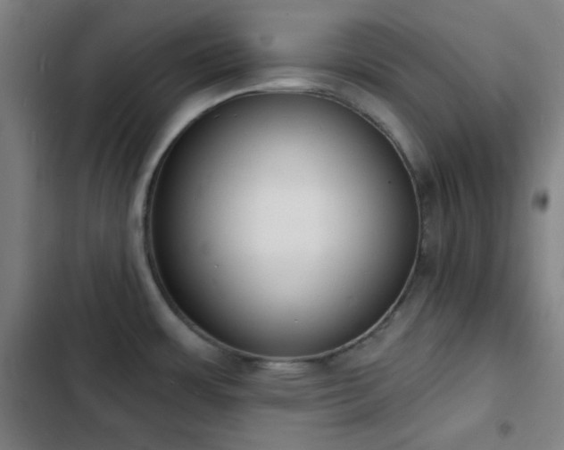 X0000103301483200808291354