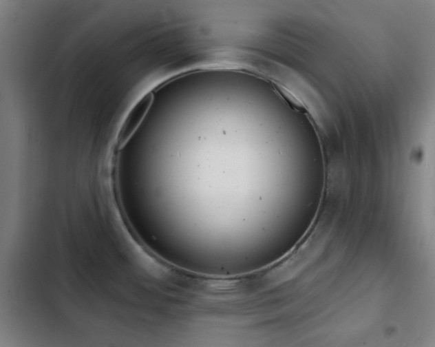 X0000103301484200808291354
