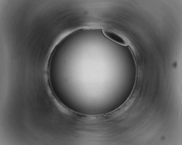 X0000103301485200808291354