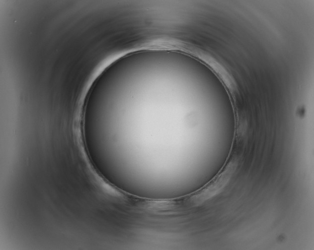 X0000103301486200808291354