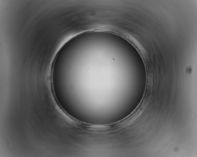 X0000103301487200808291354