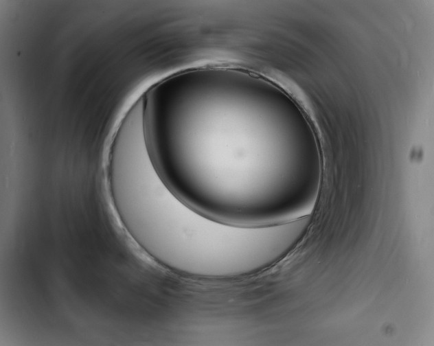 X0000103301488200808291354