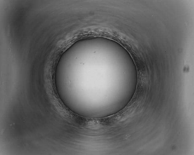 X0000103301489200808291353