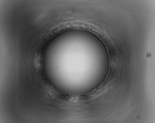 X0000103301490200808291353