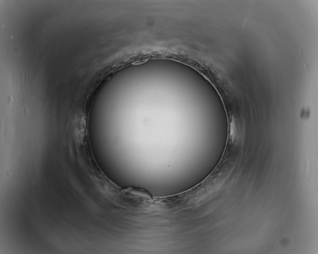 X0000103301492200808291353
