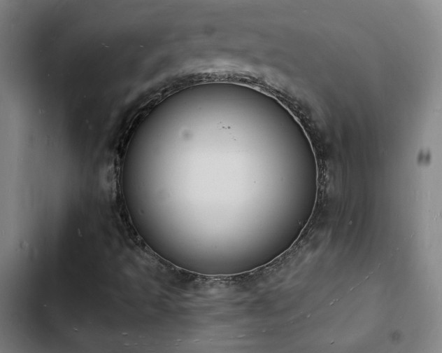 X0000103301493200808291353