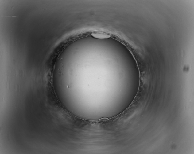 X0000103301495200808291353