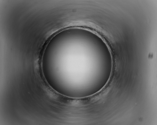 X0000103301497200808291353