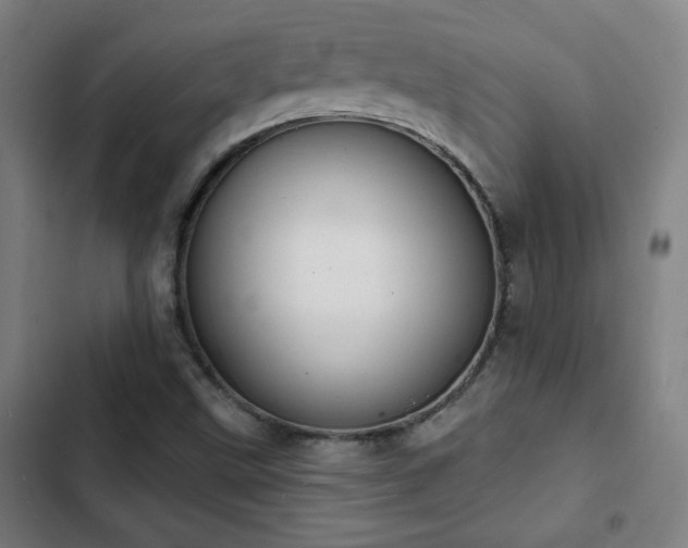 X0000103301499200808291353